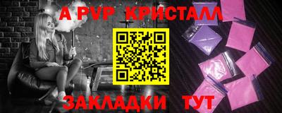 стаф Кинель
