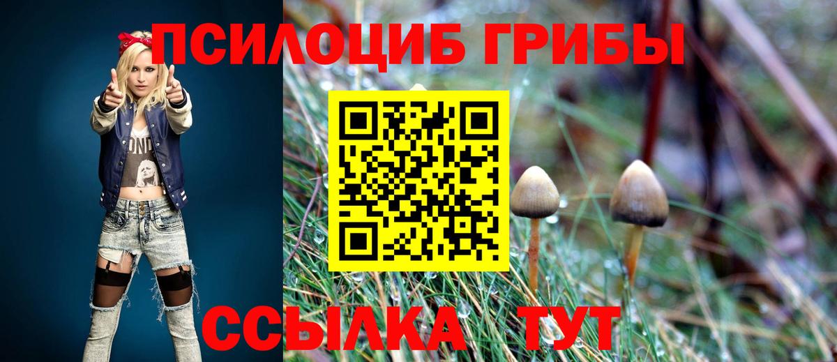 Псилоцибиновые грибы мицелий Балтийск