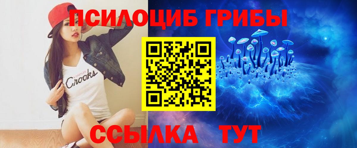 Псилоцибиновые грибы Cubensis  Галлюциногенные грибы прущие грибы  Балтийск  Вход с VPN 